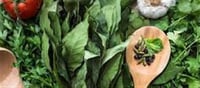 How to Keep Herbs Fresh for Longer: Easy Tips and Tricks